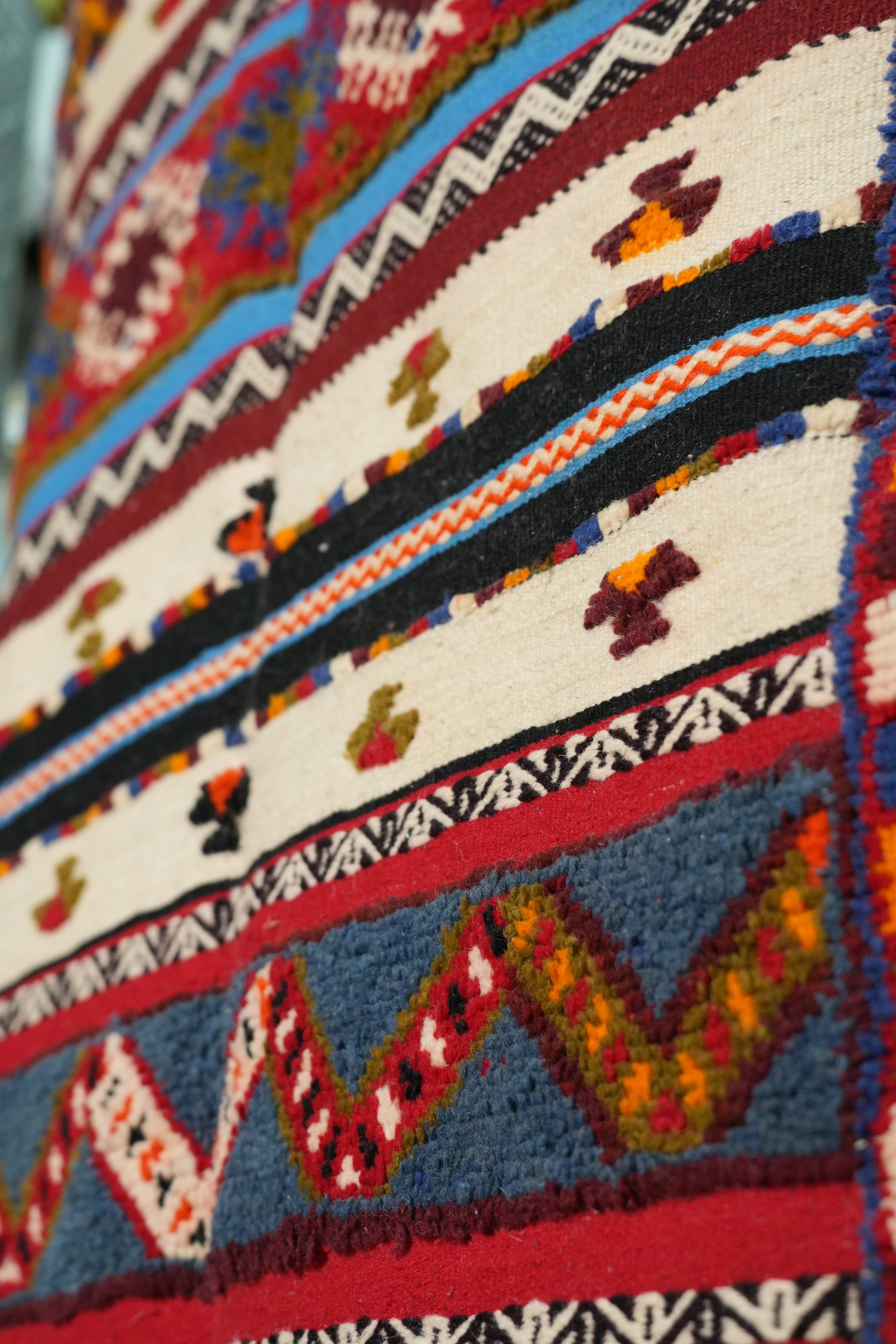 Alae Berber Corrider