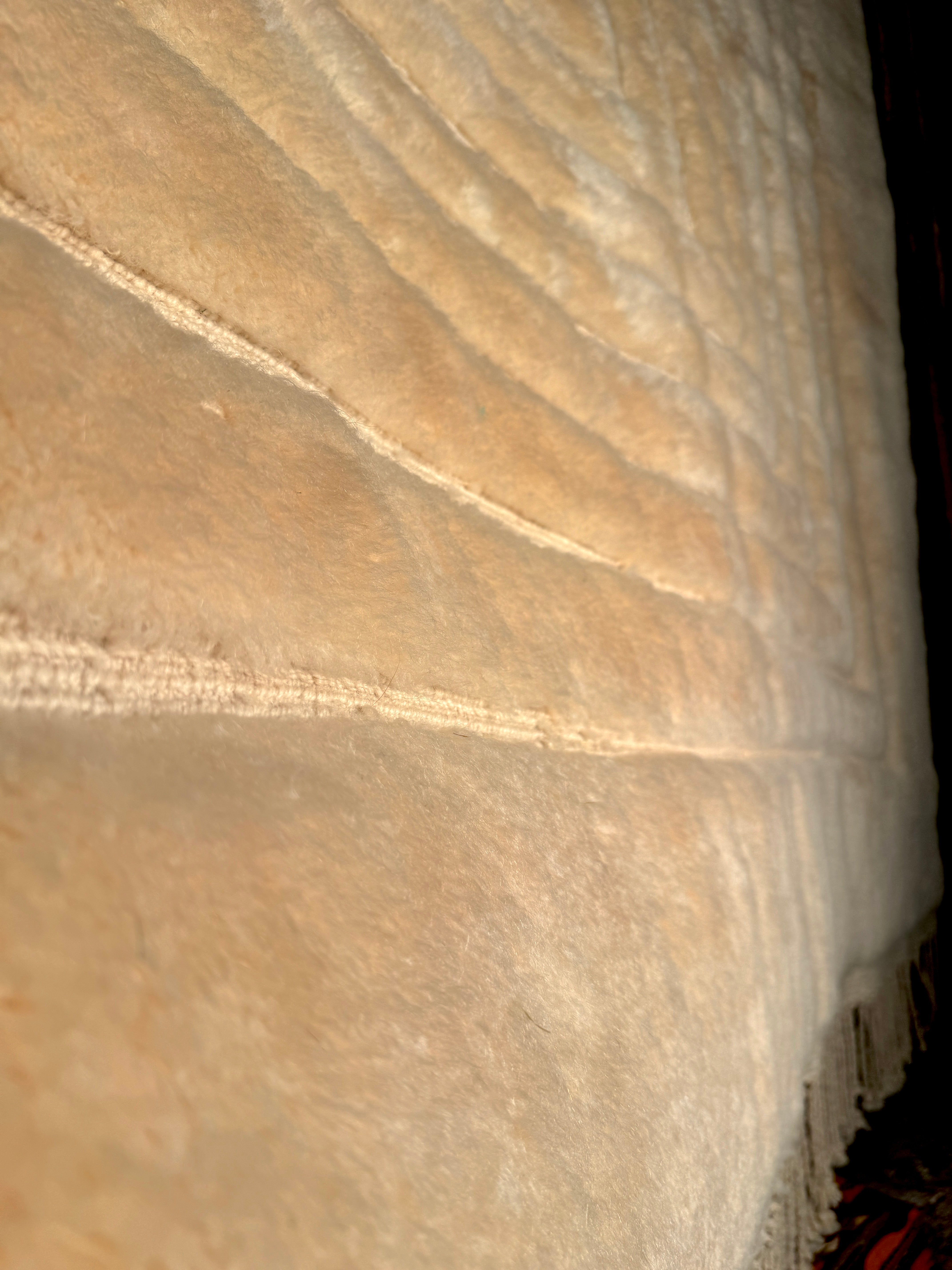 Asma Silky Mrirt Rug