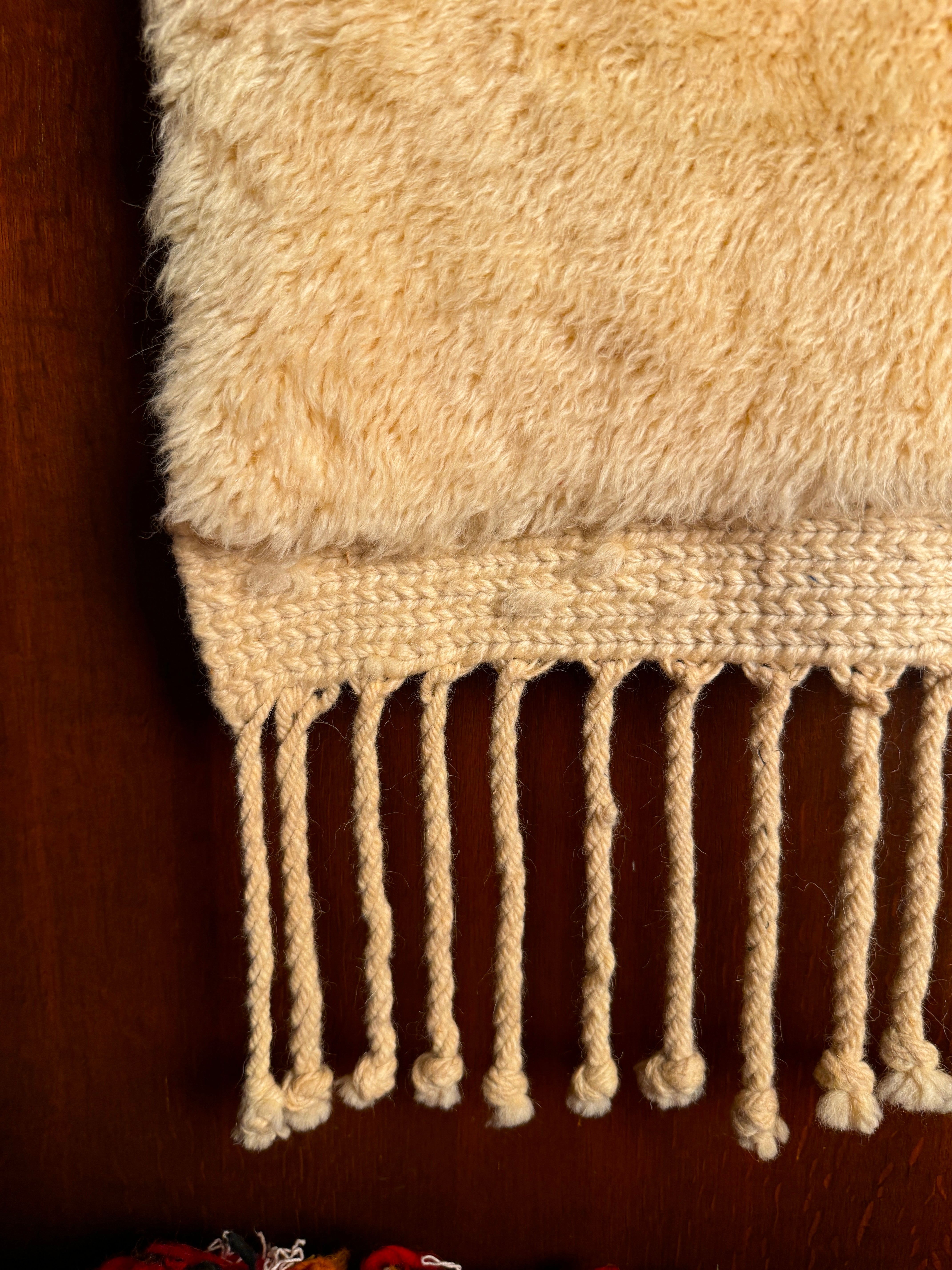 Asma Silky Mrirt Rug